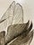 Vision Studio Bird of Paradise Triptych Canvas Wall Art, Set of Three For Sale - Image 10 of 11