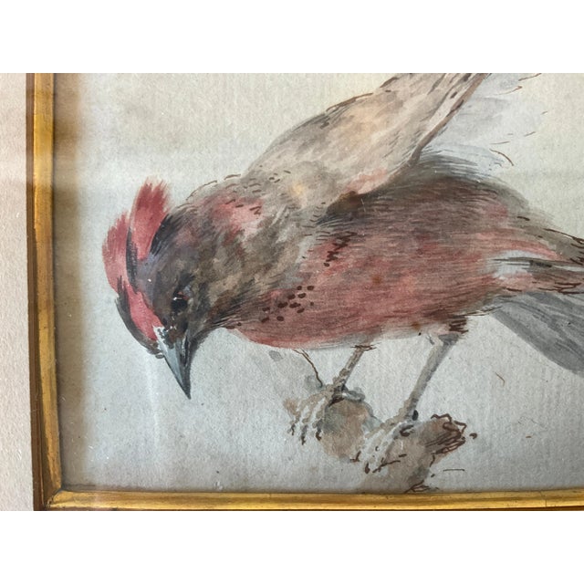 Art Deco 1870s Watercolor of Bird For Sale - Image 3 of 8