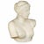 19th Century Grand Tour Marble Sculpture Statue Bust of Venus De Milo After the Antique For Sale - Image 5 of 15