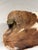 Cowhide Camel Saddle Stool, 1960s For Sale - Image 11 of 12