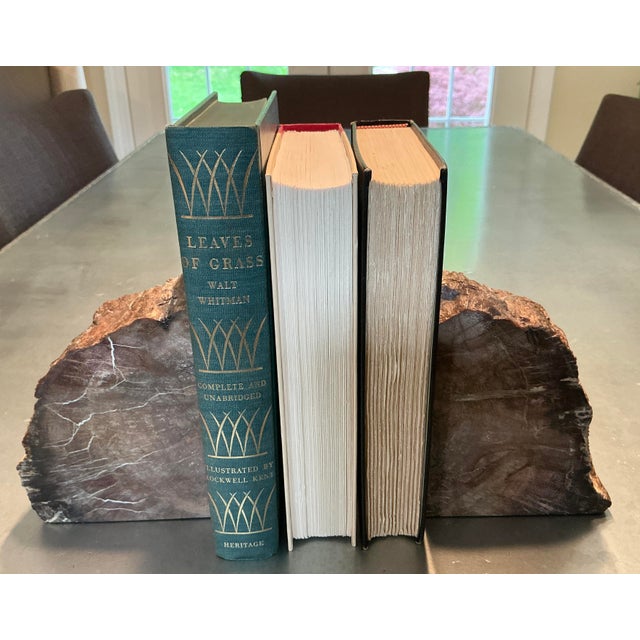 Brown Vintage Bookmatched Petrified Wood Bookends - A Pair For Sale - Image 8 of 9
