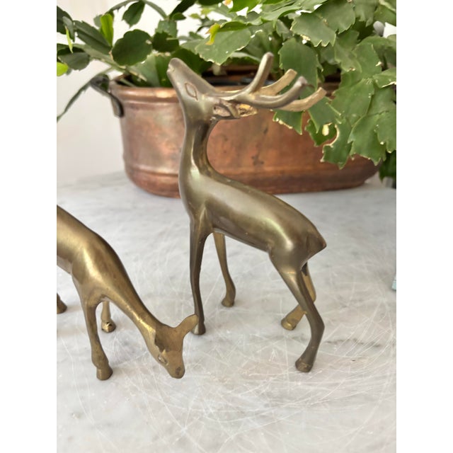 Vintage Brass Reindeer- a Pair For Sale - Image 6 of 7