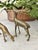 Vintage Brass Reindeer- a Pair For Sale - Image 6 of 7