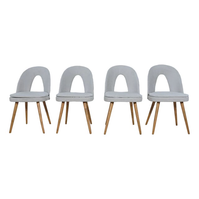 Dining Chairs by Antonín Šuman for Tatra, 1960s, Set of 4 For Sale