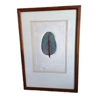 Rimer Cardillo "Ambarina" Nature Engraving 54/150 For Sale