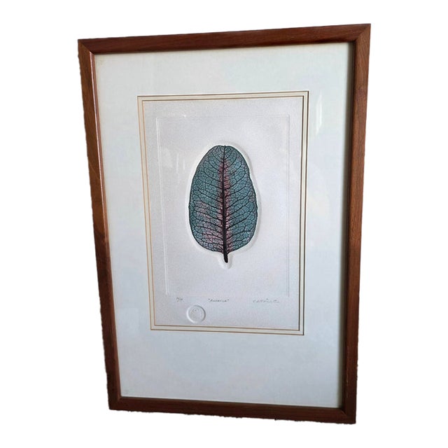 Rimer Cardillo "Ambarina" Nature Engraving 54/150 For Sale