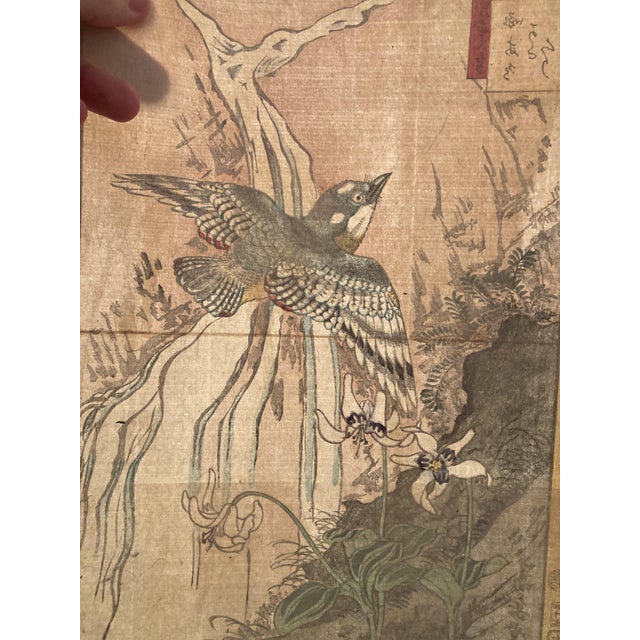 Nakayama Sūgakudō, Woodpecker and Erythronium Japonicum, 1859, Print For Sale - Image 10 of 13