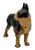 1930s Hard 2 Find Vintage 1930s Hubley Manufacturing Co. Brown Painted Boston Terrier Cast Iron Dog Doorstop For Sale - Image 5 of 18
