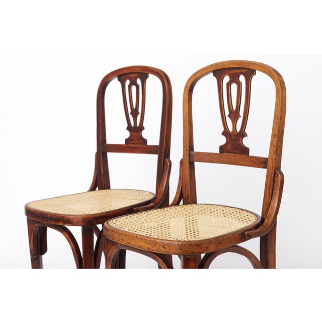 1940s Vintage Bentwood and Cane Dining Chairs, Austria, 1940s, Set of 2 For Sale - Image 5 of 10
