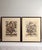 Set of four 20th Century framed botanical lithograph prints from the Twelve Months of Flowers collection by Robert Furber...