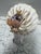 Natural Adorned Seashell Night Life With Natural Shells, Pearl, Sea Glass and Starfish Accents For Sale - Image 4 of 8