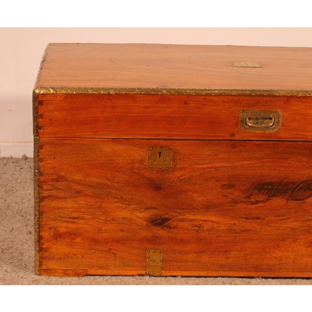 19th Century Marine Chest in Camphor Wood For Sale - Image 3 of 13