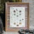 This striking framed 19th-century store sample display showcases an exceptional assortment of mother-of-pearl buttons,...