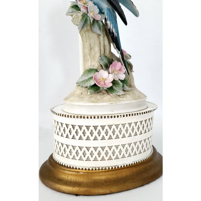 Blue Lamp Blue Parakeet Parrot For Sale - Image 8 of 12