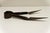 Early 20th century Ward & Payne metal sheep shears showcasing classic English craftsmanship. This authentic agricultural...