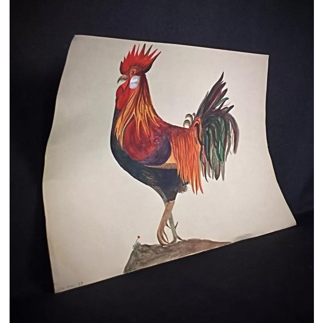 1958 Watercolor Still Life of a Rooster by J. René Rommel – Signed For Sale - Image 4 of 12