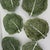 Dodie Thayer Style Cabbage Bowls Majolica Ac Pereira Portugal 20th C. - Set of 10 For Sale - Image 11 of 16