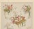 This is an Beaux Arts, Art Nouveau c1900 decorative botanical design chromolithograph by the famed French designer and...