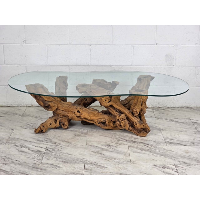 Mid-Century Modern Mid 20th Century Olive Root Driftwood Coffee Table For Sale - Image 3 of 12