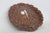 This Decorative Plate is made out of Syroco wood. This lovely souvenir plate features a rounded petal edge shape with...