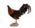 Traditional Life-Size Gamecock Taxidermy Mount Brilliant Red Orange Plumage Sand Mount Rooster For Sale - Image 3 of 17
