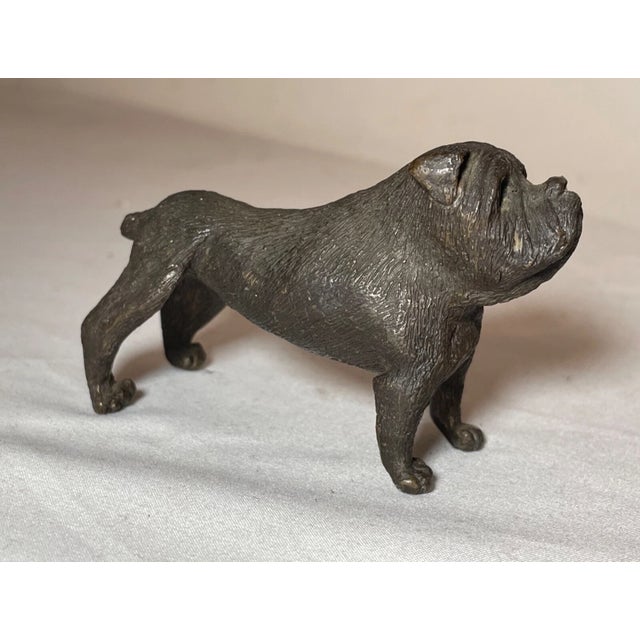 Antique Austrian Miniature Bronze Dog Bulldog Statue Figure Sculture Realistic For Sale - Image 10 of 12