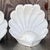 Vintage Coastal Glazed Ceramic Clam Shells - a Pair For Sale - Image 12 of 14