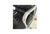 Animal Skin Herman Miller Eames Soft Pad Management Chair High Back For Sale - Image 7 of 10
