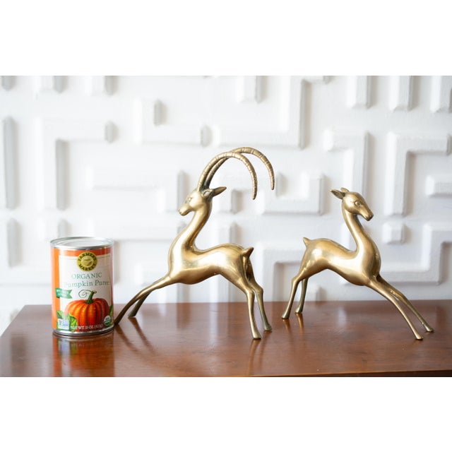 Mid-Century Modern 1970s Polished Large Brass Gazelle Figurines - Set of 2 For Sale - Image 3 of 7