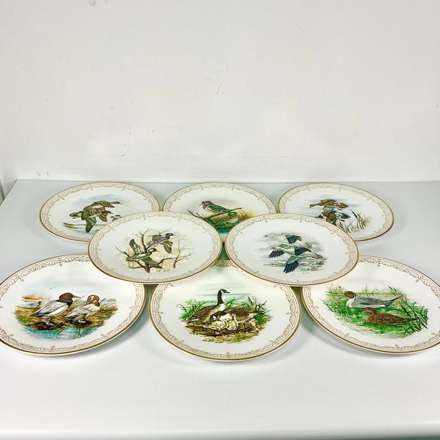 1980s 1980 Vintage Arts & Crafts English Bone China Water Fowl Birds Dinner Plates -Set of 8, Thanksgiving For Sale - Image 5 of 18