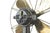 WT 22 Table Fan by Peter Behrens for AEG, Germany, 1909 For Sale - Image 11 of 14