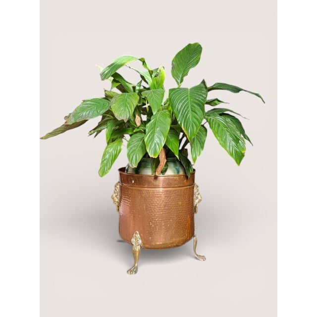 Copper Plant Planter, 1920s, Set of 2 For Sale - Image 10 of 11