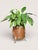 Copper Plant Planter, 1920s, Set of 2 For Sale - Image 10 of 11