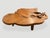 Andrianna Shamaris Organic Teak Root Coffee Table For Sale - Image 16 of 18