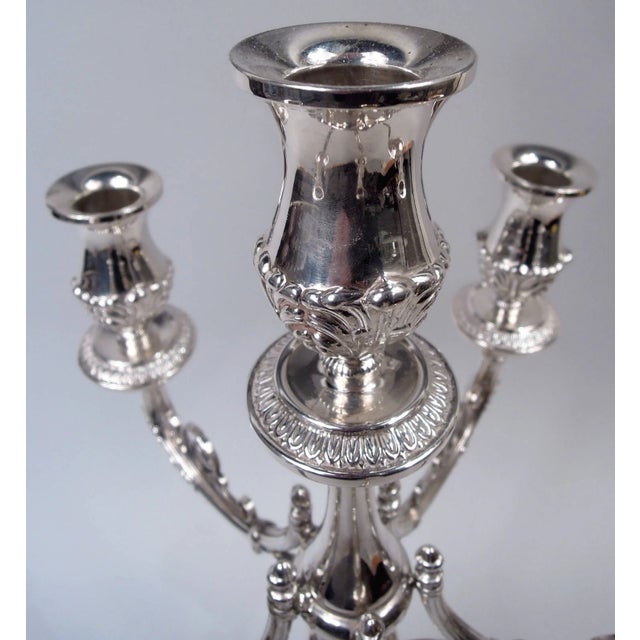 Neoclassical Mid 20th Century Hazorfim Candelabrum Traditional Neoclassical 6-Light Israeli Sterling Silver For Sale - Image 3 of 9