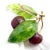 Vintage Tiffany & Co. France Diamond Plique a Jour Glass Cherries Gold Brooch For Sale - Image 12 of 16