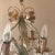 Shabby Chic Mid Century Italian Tole Flower and Leaves Chandelier For Sale - Image 3 of 15
