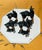 1950s 20 Th C Blown Glass Llamas Figurines Family With Mirrored Stand For Sale - Image 5 of 6