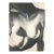 Erwin Blumenfeld Photogravure No 5 Verve 1939 For Sale