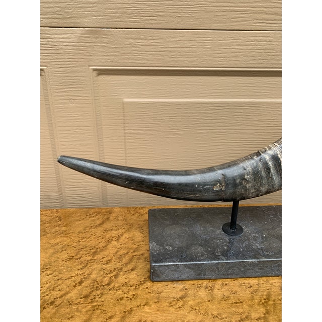Pair of Vintage Faux Ram Horn Sculptures on Black Marble Bases For Sale - Image 12 of 16