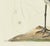 American Mark Catesby Reproduction of Wood Pelican, Plate 81 For Sale - Image 3 of 3