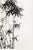 Not Yet Made - Made To Order Chinese Bamboo by Zheng Xie, Vintage Art Print, 20" X 30" For Sale - Image 5 of 11