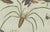 Early 19th Century Bertuch, Exotic Insects, Spider and Butterfly, 1800, Engraving For Sale - Image 5 of 10