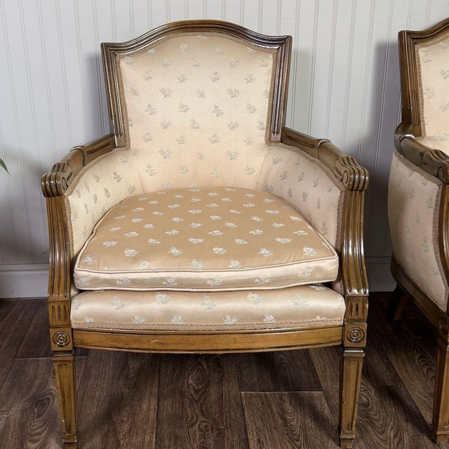 Vintage Mid-Century Directoire-Style Bergère Armchairs For Sale - Image 10 of 14