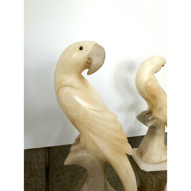 Pair Italian Alabaster Parrot Bird Sculptures - Mid Century For Sale - Image 13 of 18