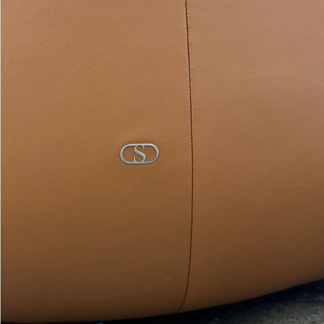 Chestnut De Sede Ds-707 Canada Armchair For Sale - Image 8 of 9