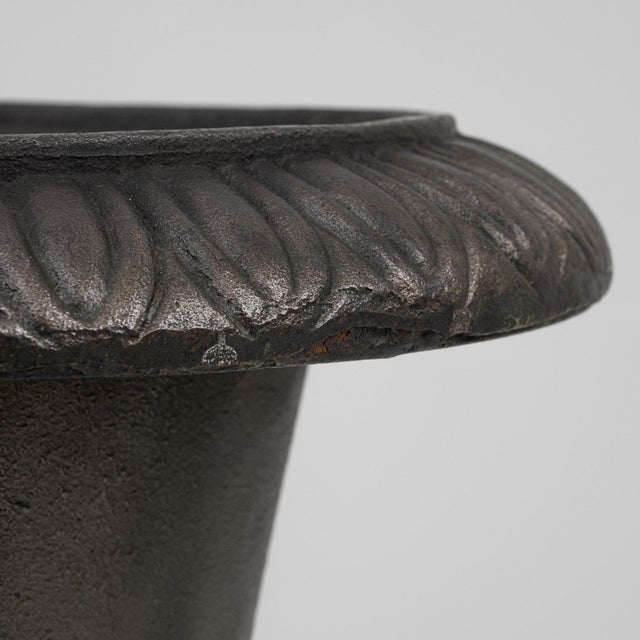 French 19th Century France Black Iron Planter For Sale - Image 3 of 8