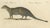 Early 19th Century Brodtmann, Egyptian Mongoose, Genet & Civet, 1816, Lithograph For Sale - Image 5 of 9
