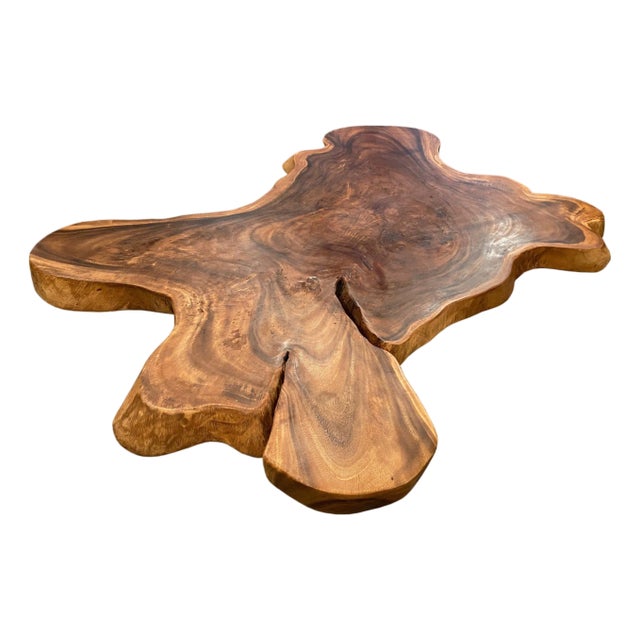 Andrianna Shamaris Amorphous Suar Wood Coffee Table For Sale
