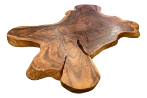 Andrianna Shamaris Amorphous Suar Wood Coffee Table